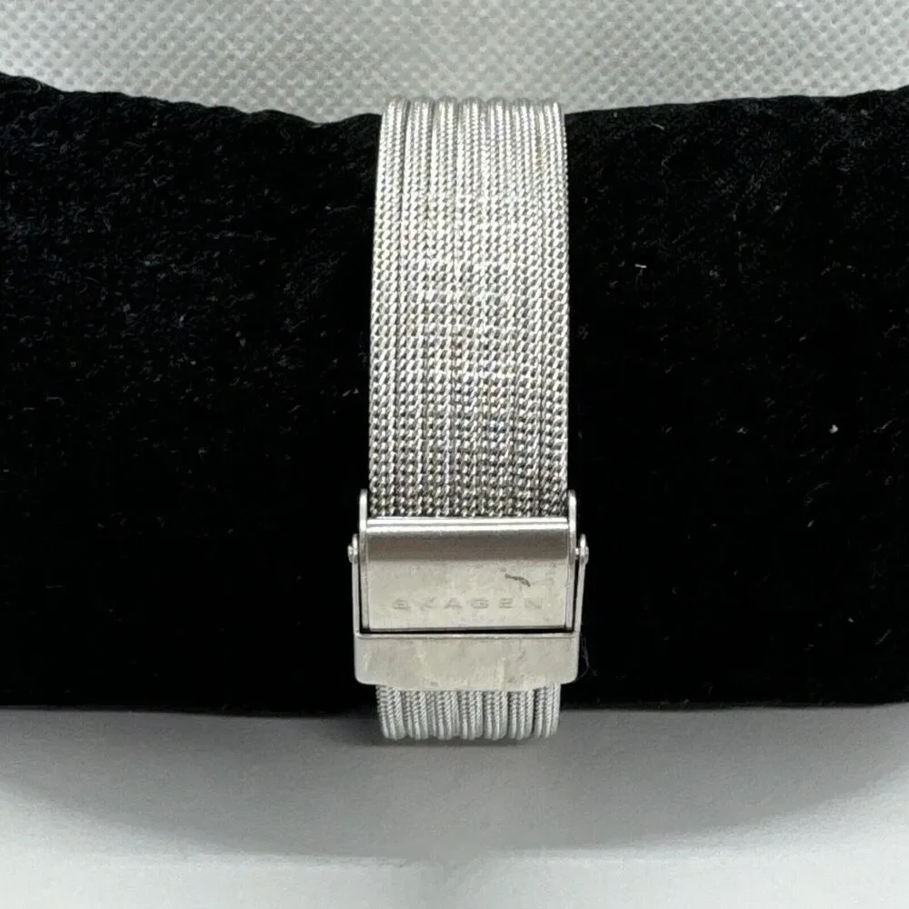 Skagen SKW2284 Women's Silver Stainless Steel Analog Dial Quartz Watch JNA544